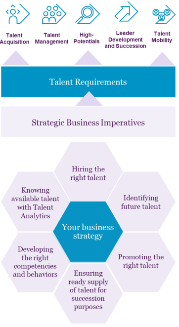 Talent Management Assessments