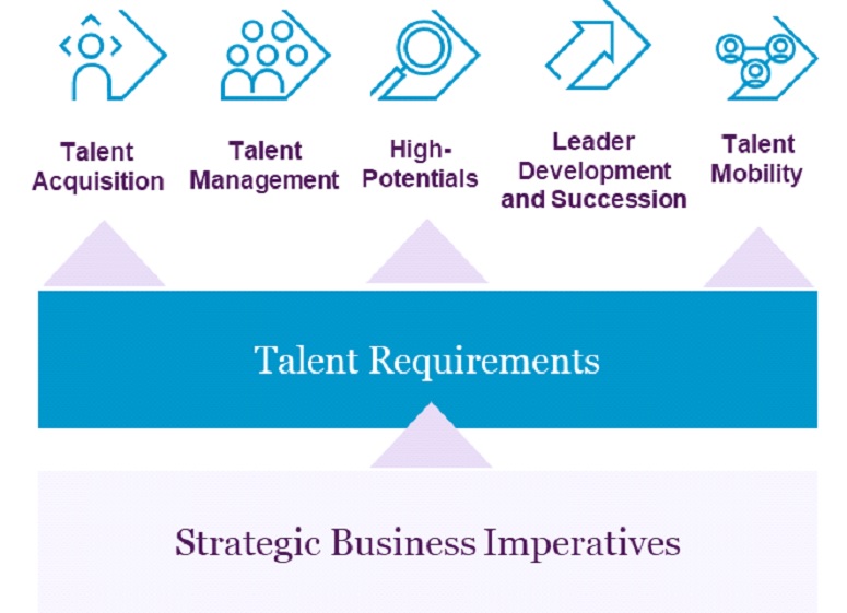 talent management and assessment